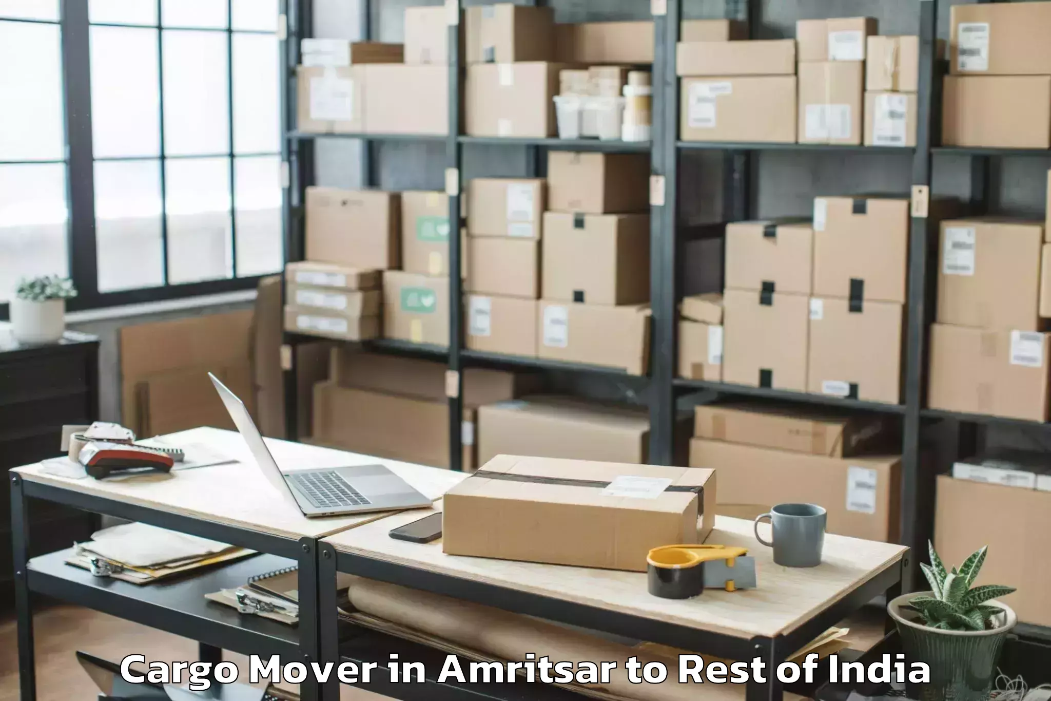 Reliable Amritsar to Damercherla Cargo Mover